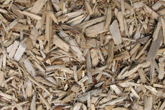 biomass boilers Tarbolton